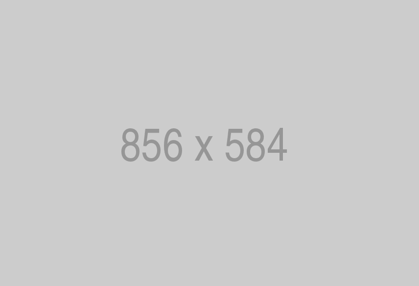 856x584